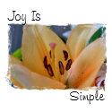 Joy is simple magnet