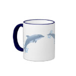 joy of dolphins