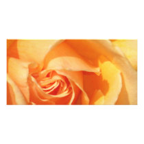 Joy_ photo cards by ELENNE Joy_ photo cards