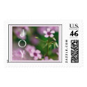 Joy - Pink Wood Sorrel Postage Stamp