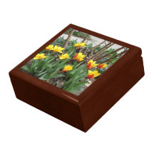 Joyero temprano de los tulipanes de la primavera cajas de joyas
