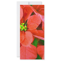Joyful Holidays_ rack cards by ELENNE Joyful Holidays_ rack cards