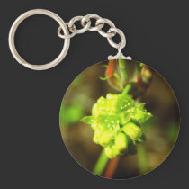 Joyfyl Springtime keychains