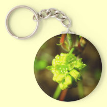 Joyfyl Springtime keychains