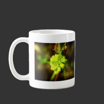 Joyfyl Springtime mugs