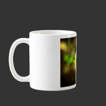 Joyfyl Springtime mugs