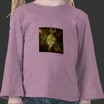 Joyfyl Springtime t-shirts