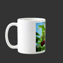 Joys of Summer mugs