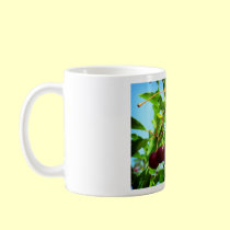 Joys of Summer mugs