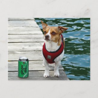 JRT in Red Vest on Boat Dock postcard