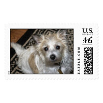 JRT postage