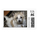 JRT Stamp by Oceanlu JRT Stamp