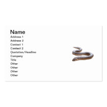 JSB Business Card