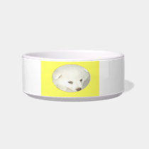 jspitz bowl