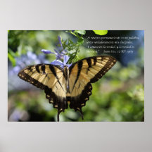 Juan 8 con mariposa Tiger Swallowtail Poster