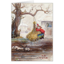JudeToo JT31 Card cards