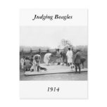 Judging Beagles, 1914 postcards