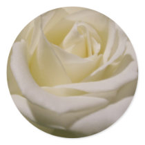 Judi's Rose stickers by sharpcreations Judi's Rose stickers