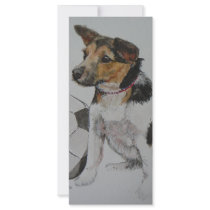 Judith's doggie rack cards