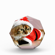 Juego de Santa del gato del gatito de las Felices 