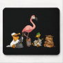 Jug Band O' Birds Mousepad