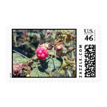 Juicy Fruit Stamp