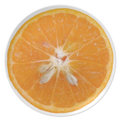 juicy realistic orange slice party plates Fuji_plate juicy realistic orange slice party plates Fuji_plate