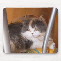 Juju on her chair mousepads
