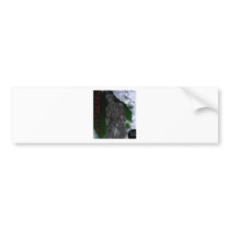Jukurenko 2 bumper stickers
