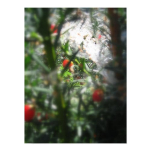 Jul Berries No.1 print