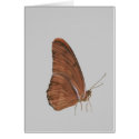Julia Butterfly cards