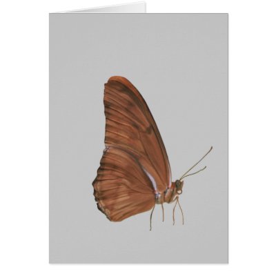 Julia Butterfly Greeting Cards by roimim