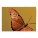 Julia Butterfly cards