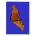 Julia Butterfly cards