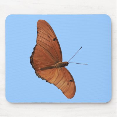 Julia Butterfly Mouse Mats by roimim