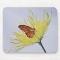 Julia Butterfly mousepads by roimim Julia Butterfly mousepads