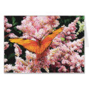 Julia Butterfly on Pink Flowers card