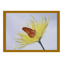 Julia Butterfly posters by roimim Julia Butterfly posters