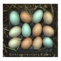 Julia's Extraordinary Eggs posters by ccgart Julia's Extraordinary Eggs posters