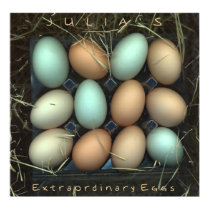 Julia's Extraordinary Eggs posters by ccgart Julia's Extraordinary Eggs posters