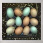 Julia's Extraordinary Eggs posters