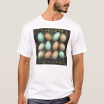 Julia's Extraordinary Eggs