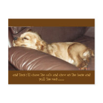 julie's journal postcards by holycrocodile julie's journal postcards