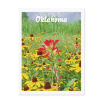 july2007 indian paintbursh, Oklahoma Post Card