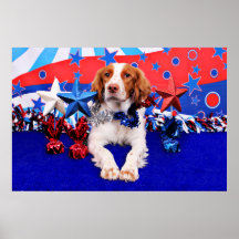 July 4th - Brittany Spaniel - Charlie Posters