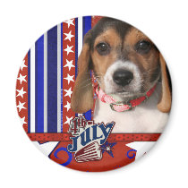 July 4th Firecracker - Beagle Puppy Magnets