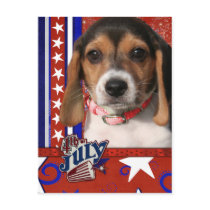 July 4th Firecracker - Beagle Puppy Postcards