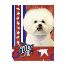 July 4th Firecracker - Bichon Frise Post Cards