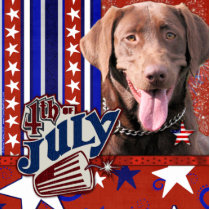 July 4th Firecracker - Labrador - Chocolate Photo Cut Outs