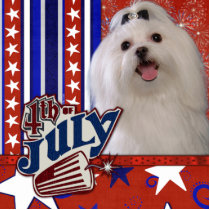 July 4th Firecracker - Maltese Photo Cut Outs